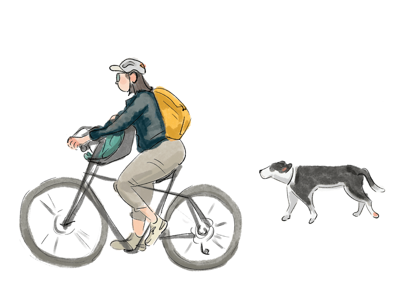 A mother on a bicycle with a baby carrier and a dog running alongside