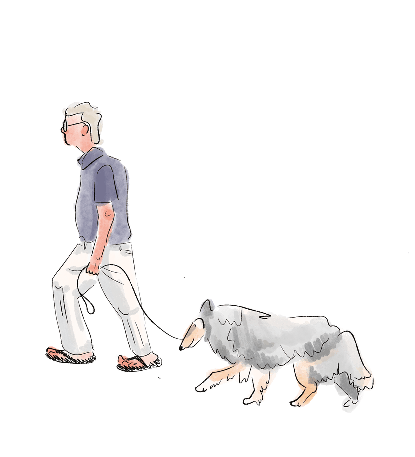 A man in flip flops walking with a Collie dog