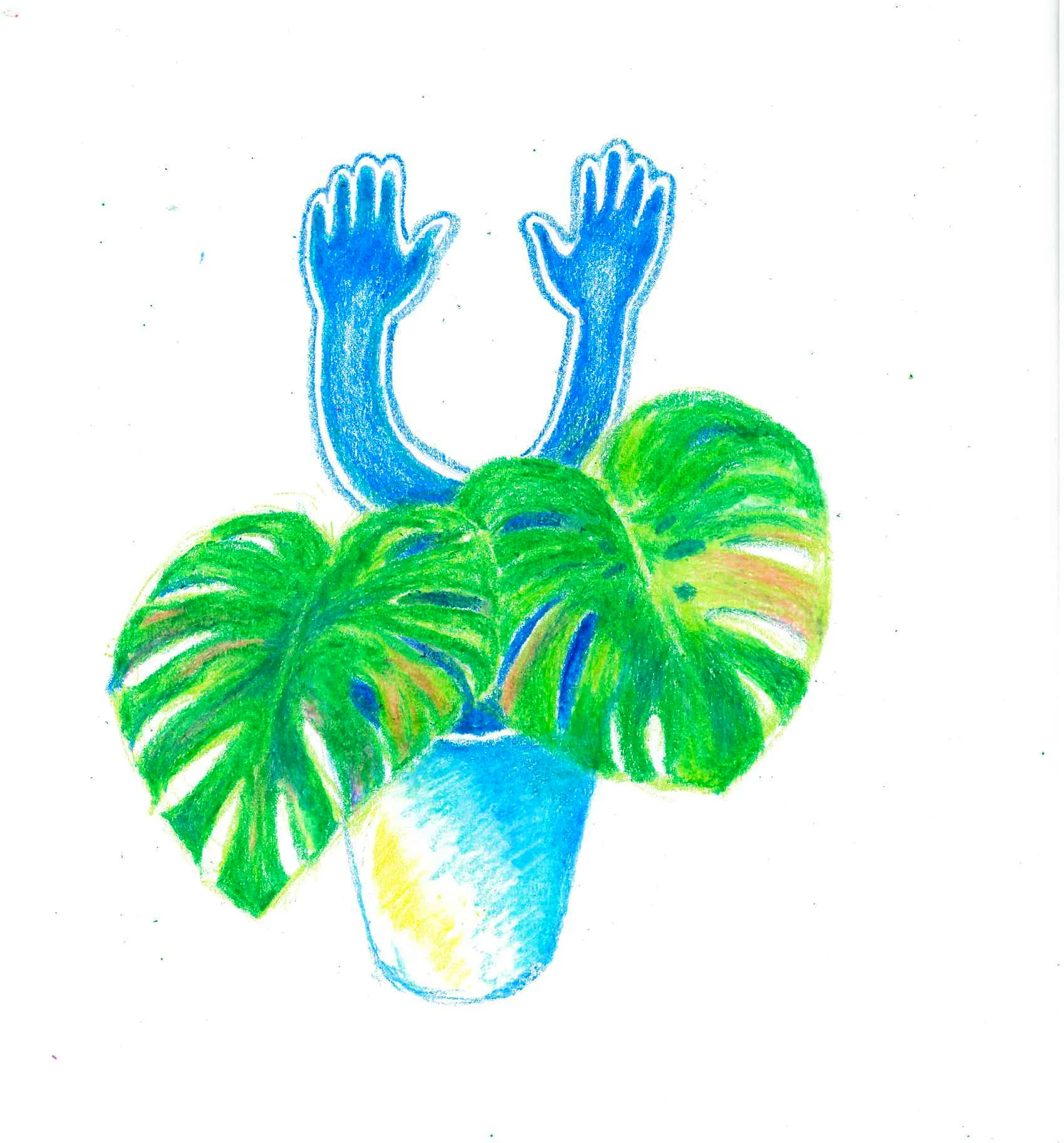 A hand-drawn monstera plant held in two hands